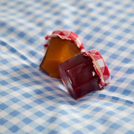 ベッド・アンド・ブレックファスト Obst- Und Weinbauernhof Bernhard ロイトシャッハ